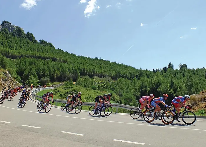 In With View 公寓 *